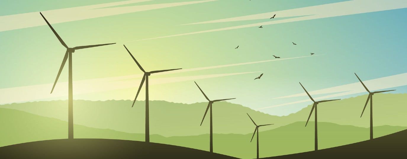 Ten reasons to support renewable energy