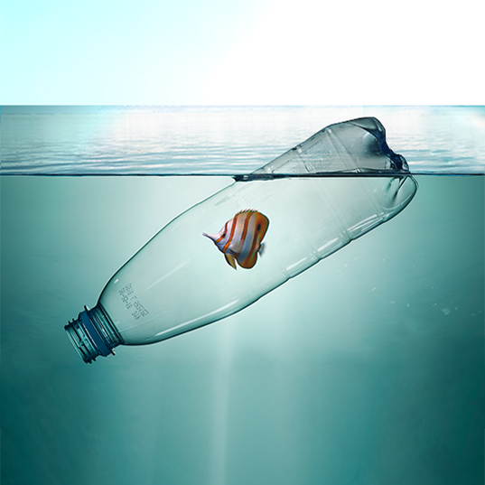 Navigating through plastic: ocean health adrift 