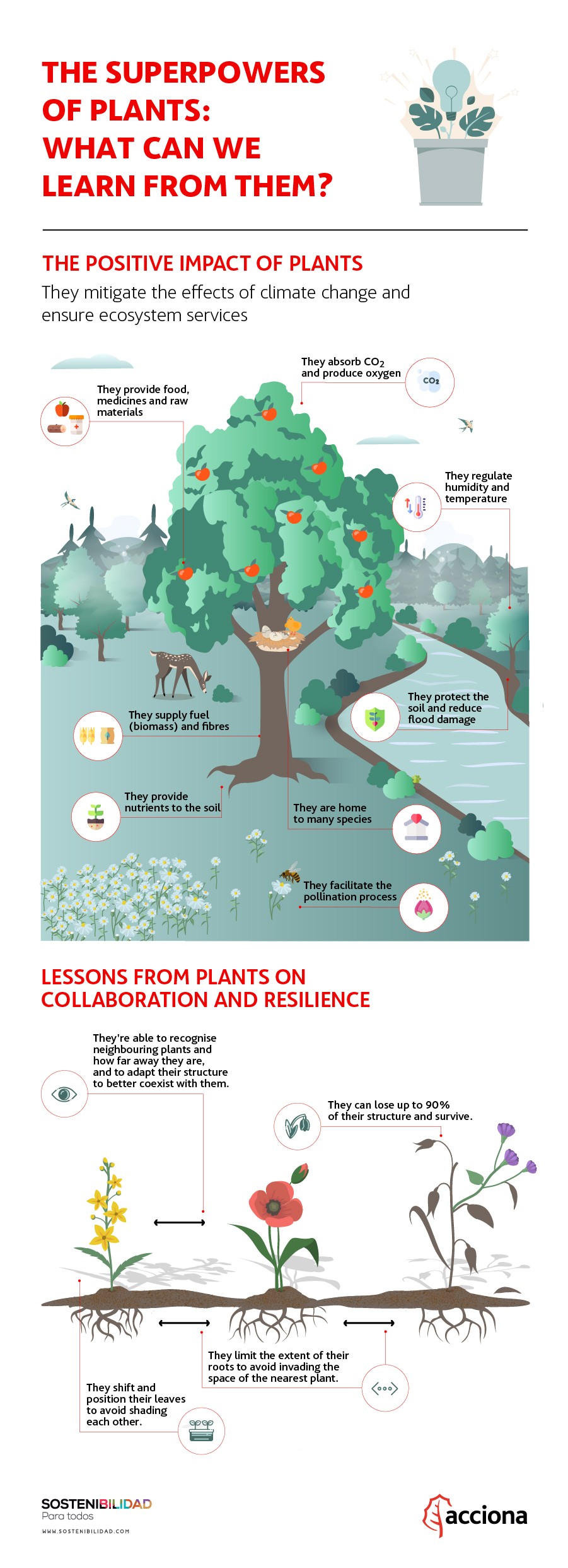 II. Benefits of Sustainable Plant Selection