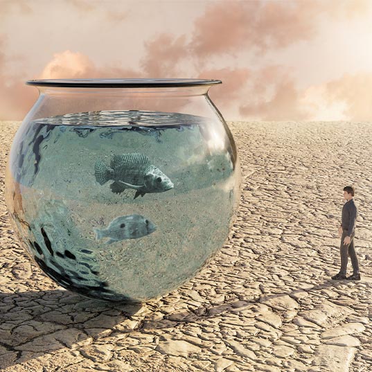 The challenges of water scarcity amid climate change: problems and solutions 