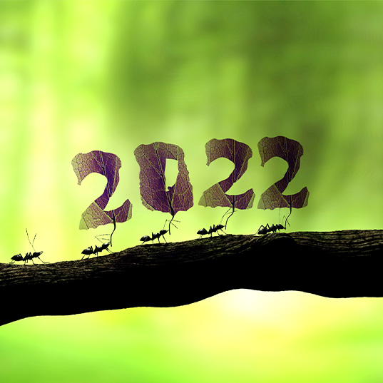 Some of the sustainability milestones in 2022